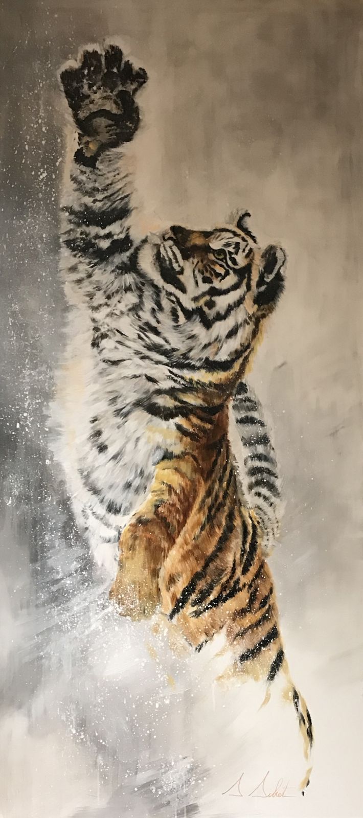 Tigre