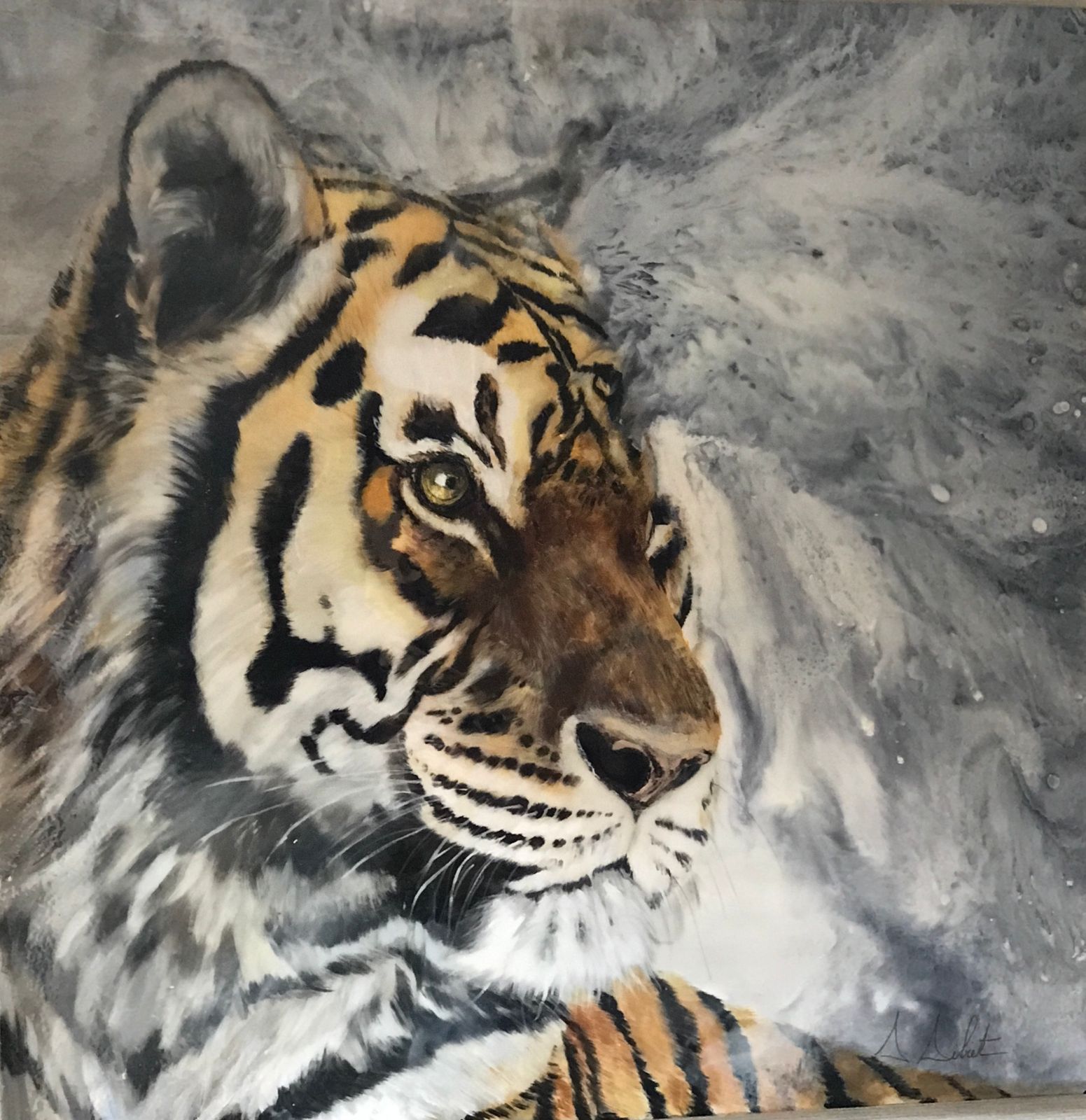 Tigre 2