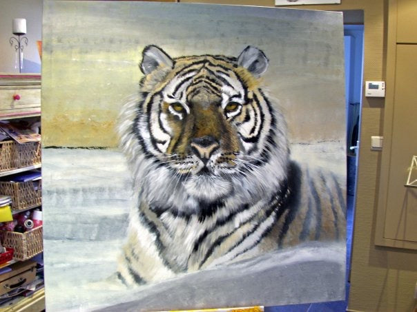 Tigre 4