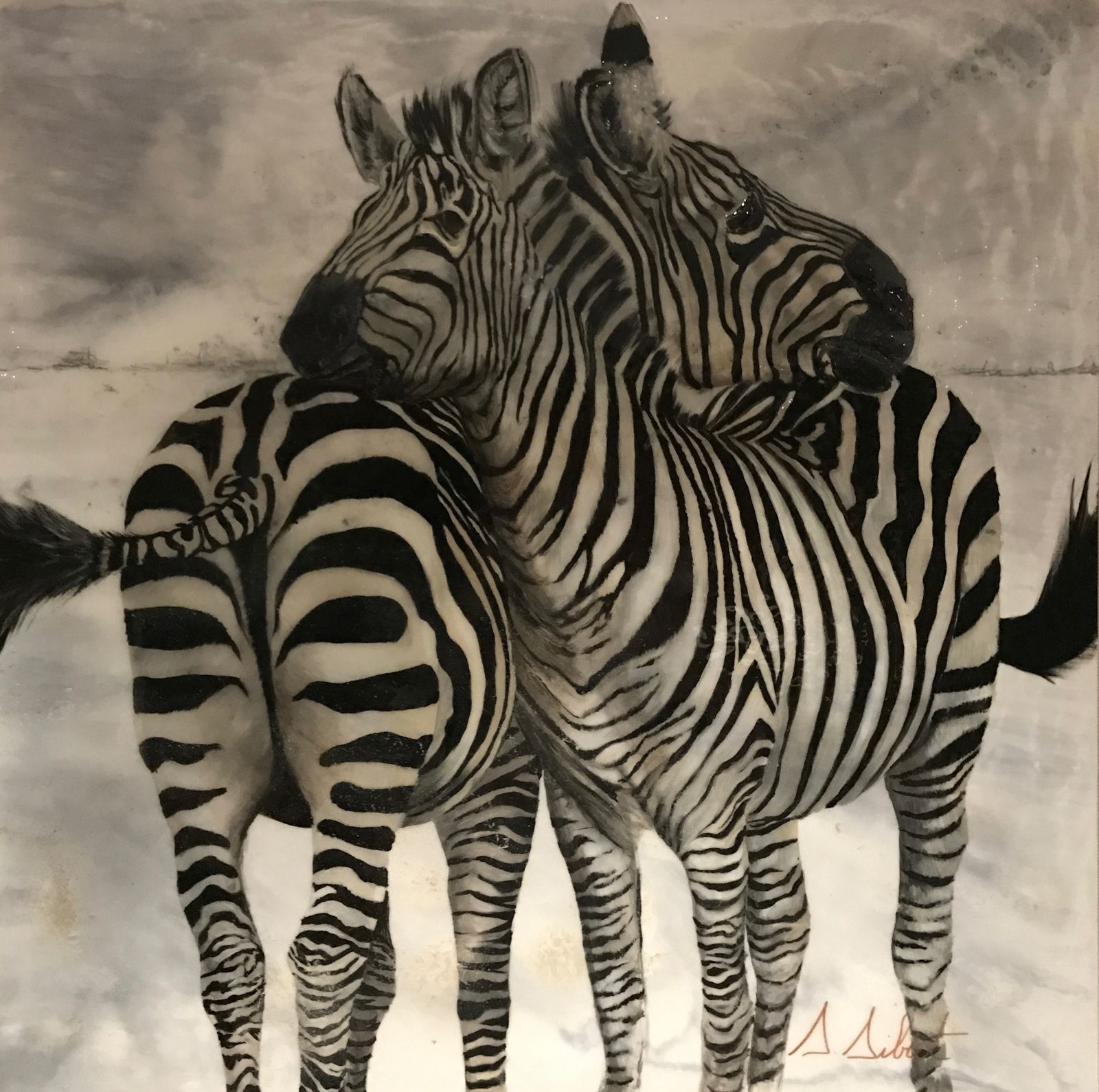 Zèbre
