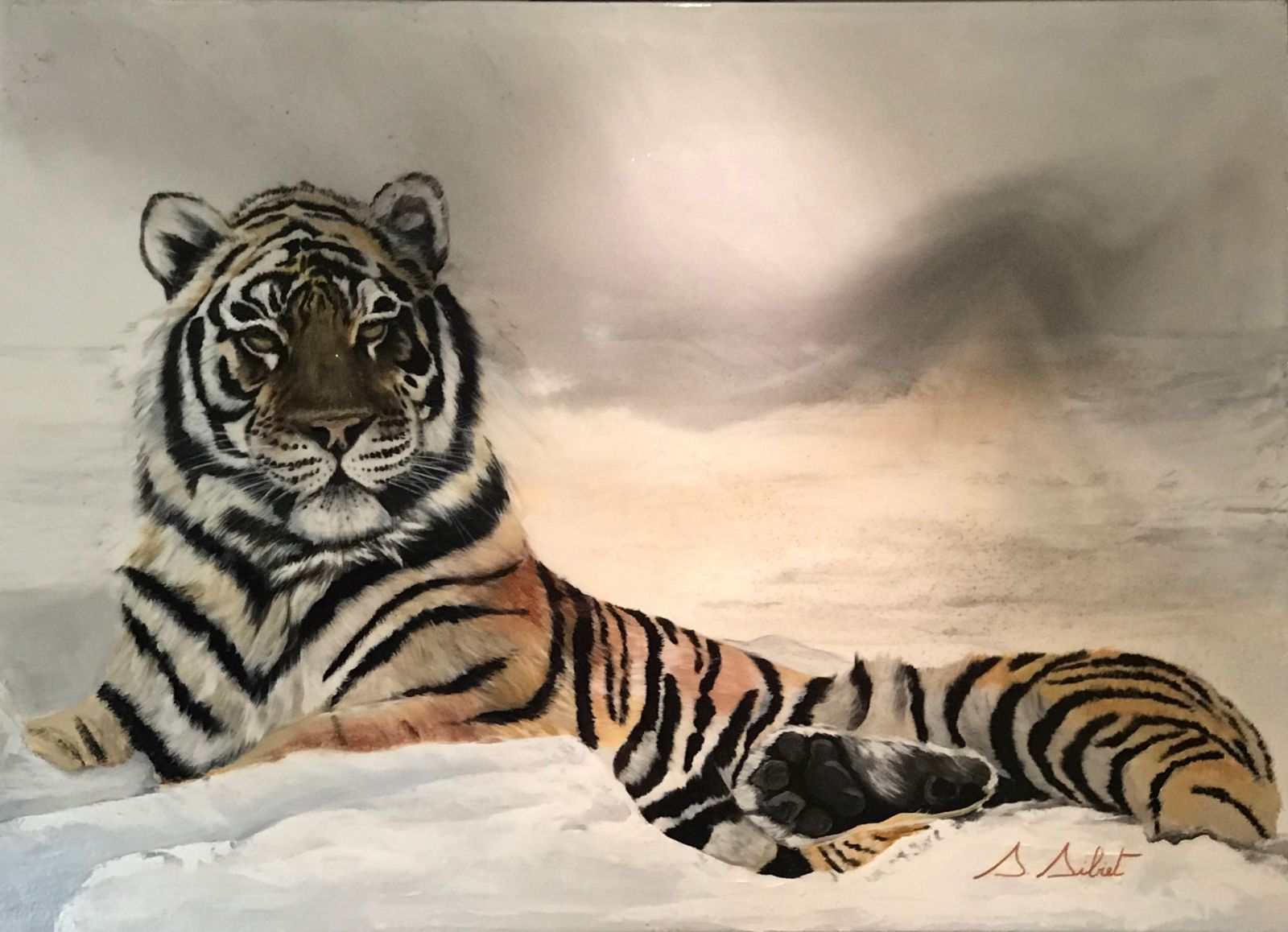 Tigre 5