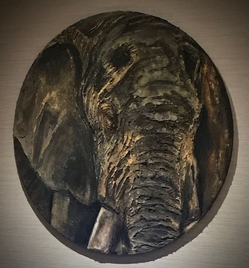 Éléphant 3