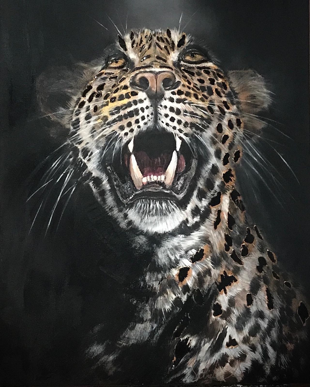 Tigre 8