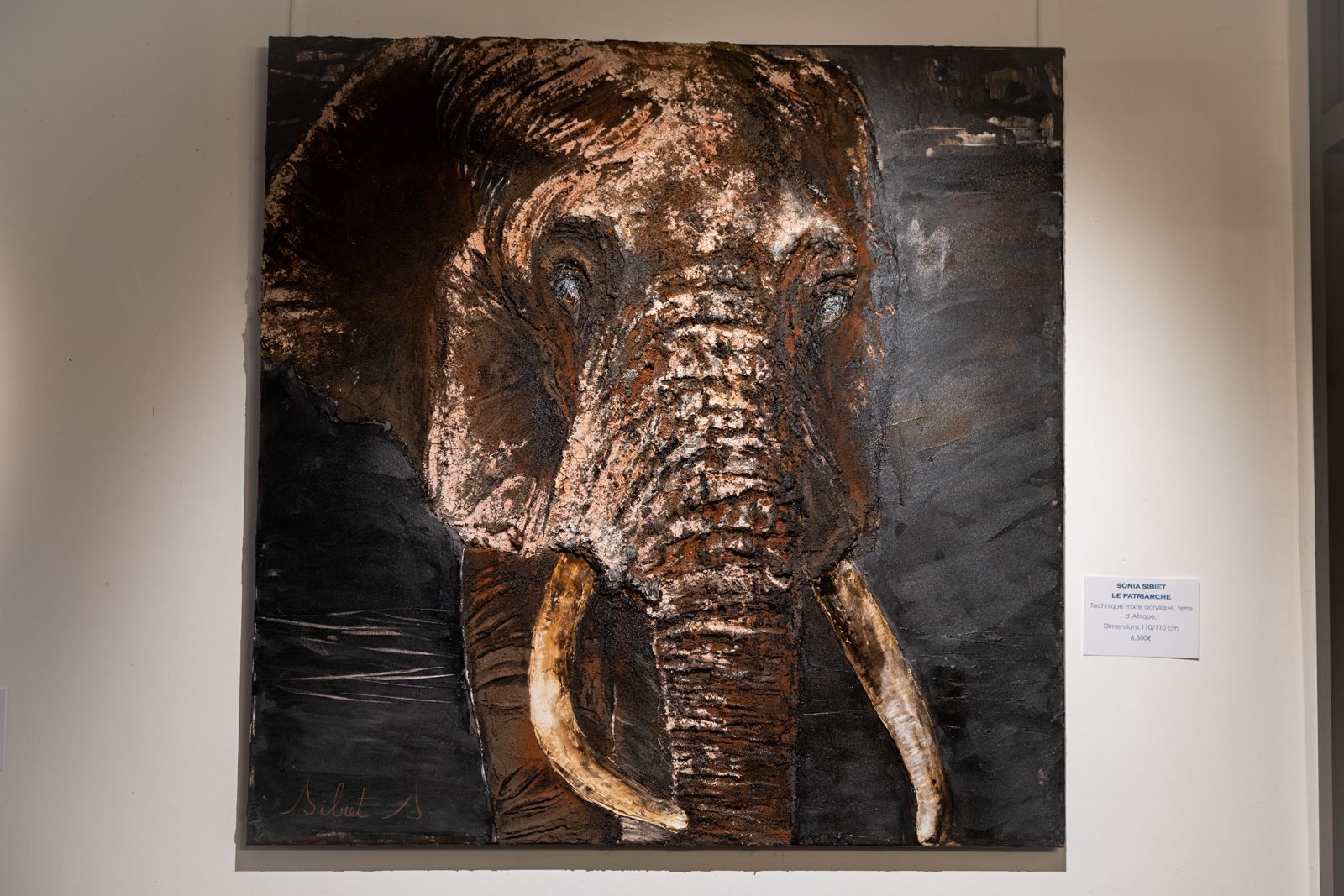 Éléphant 4