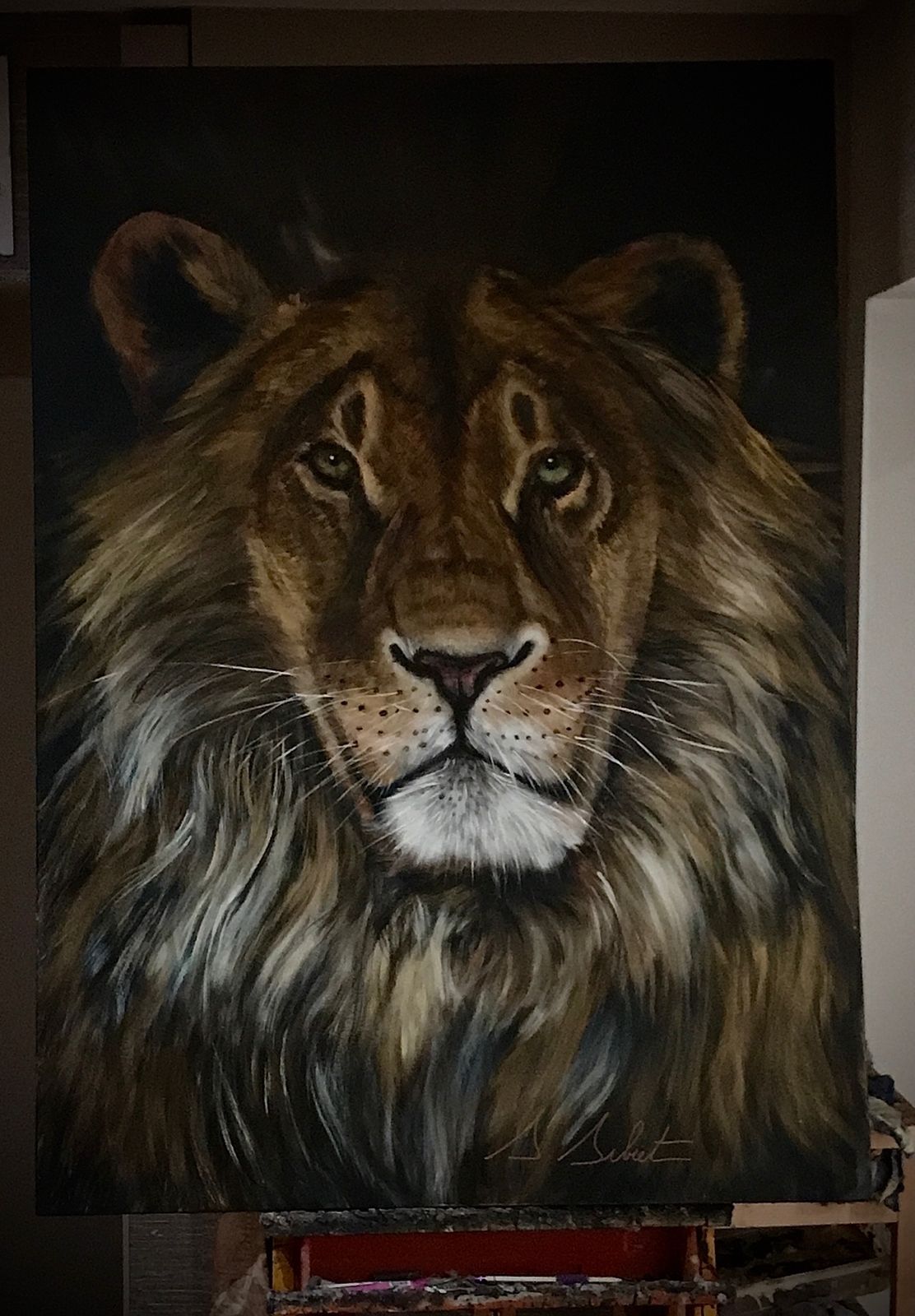 Lion 2