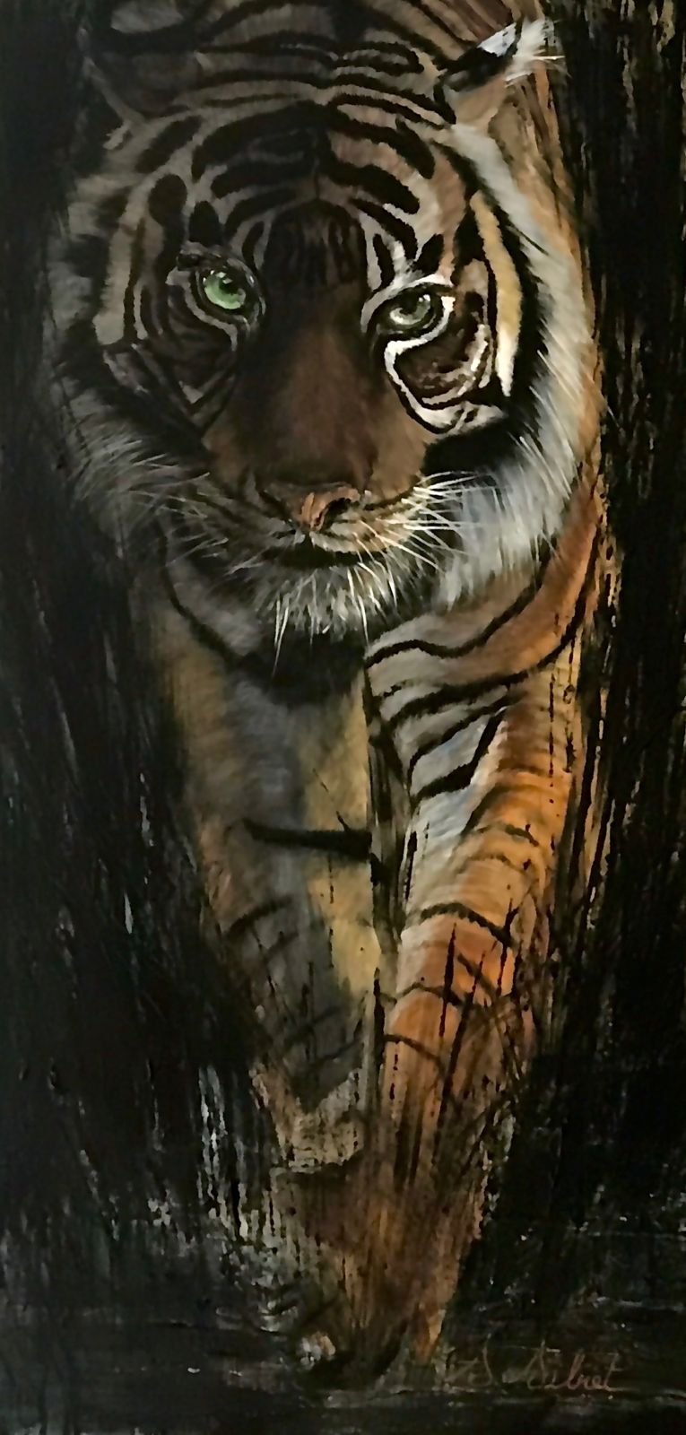 Tigre 10