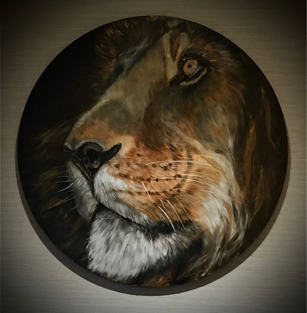 Lion 3