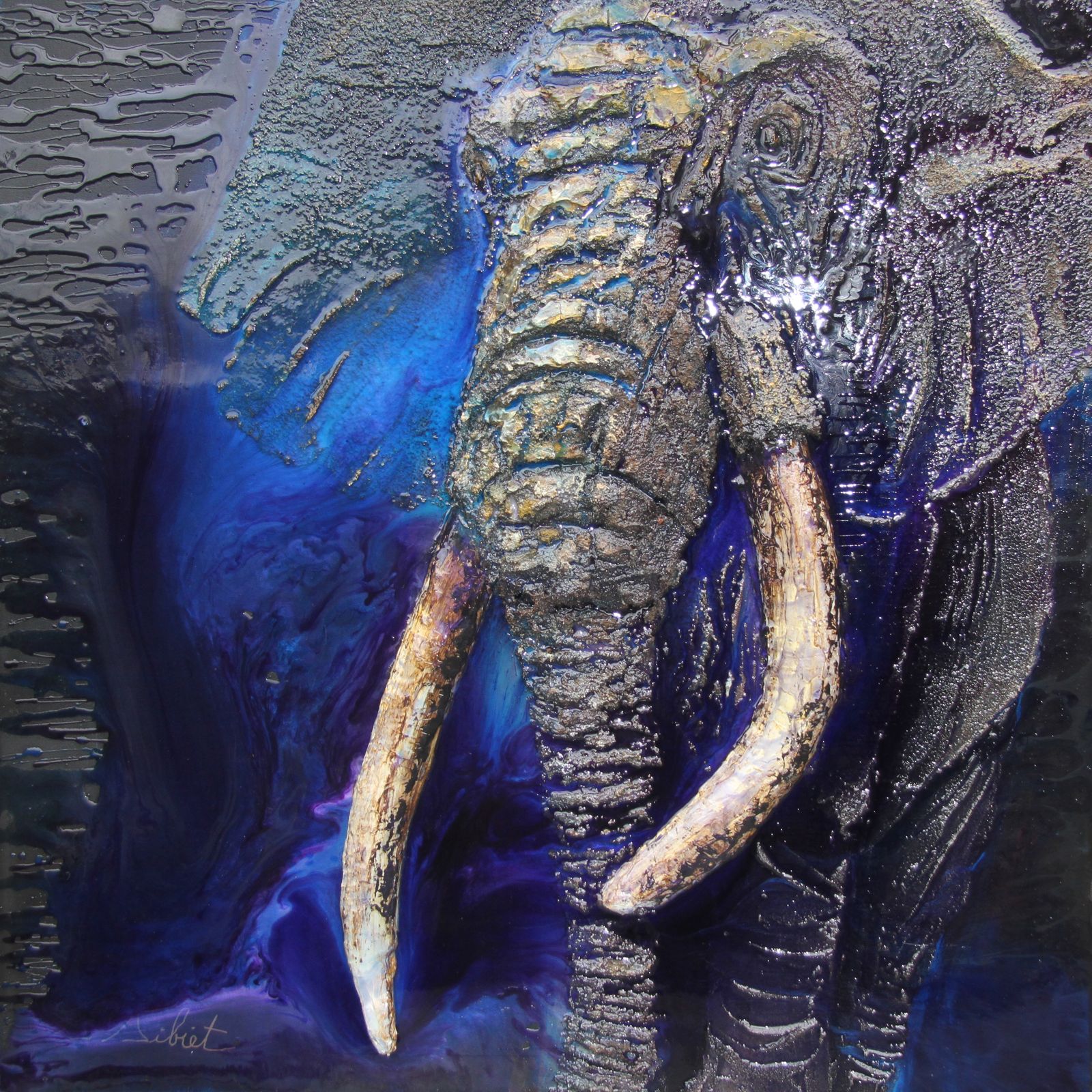 Éléphant 5