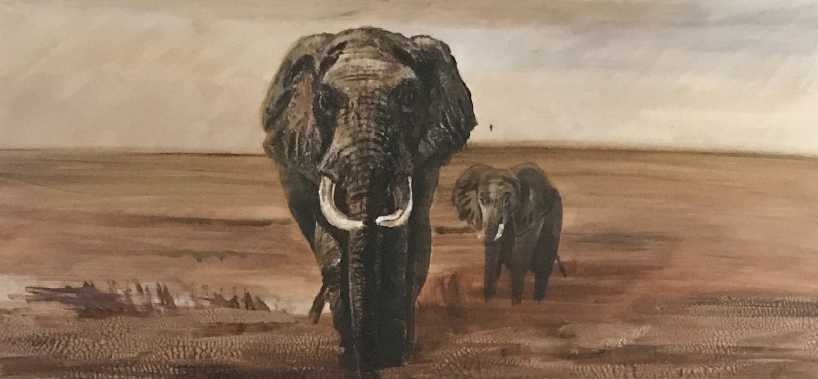 Éléphant 6