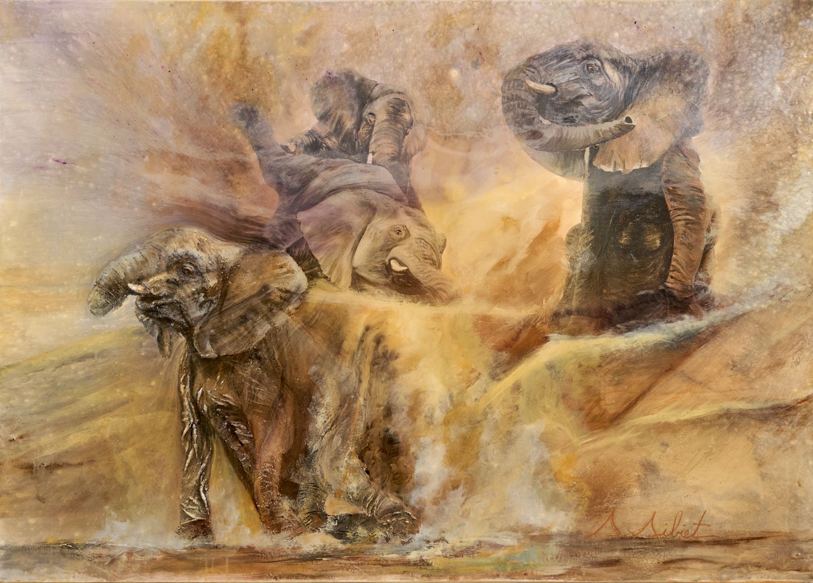 Éléphant 7