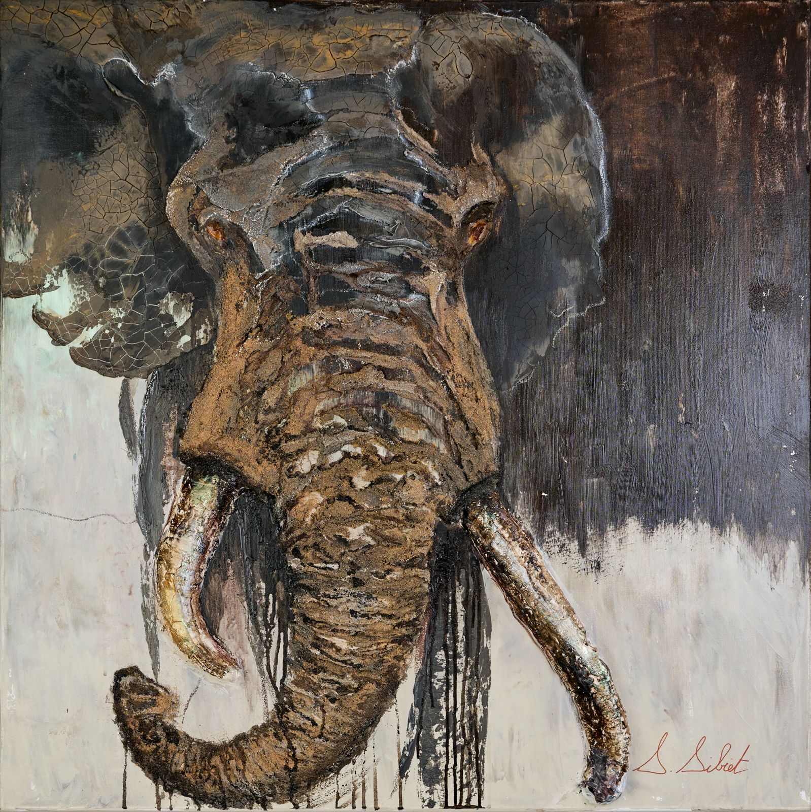 Éléphant 8