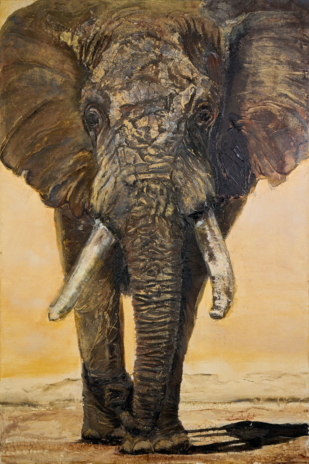 Éléphant 9
